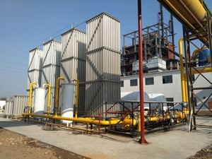 IBISCUS BLACK-YELLOW